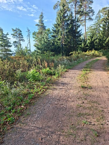 Anweiler - Jungpfalzhütte