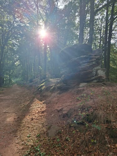 Anweiler - Jungpfalzhütte
