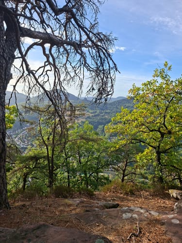Anweiler - Jungpfalzhütte