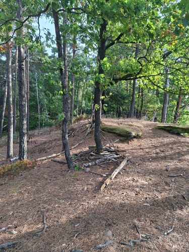 Anweiler - Jungpfalzhütte