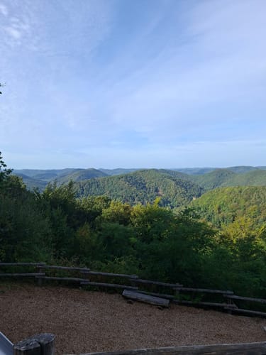 Anweiler - Jungpfalzhütte