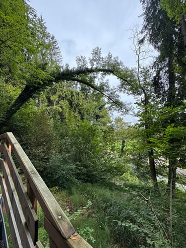 Rundweg entlang der Prien durch das Eichental