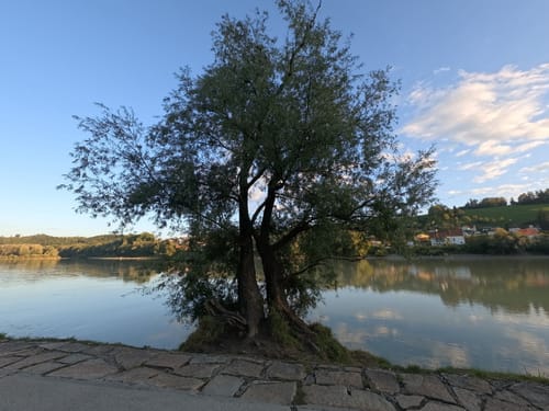 Dreiflüsseeck Passau
