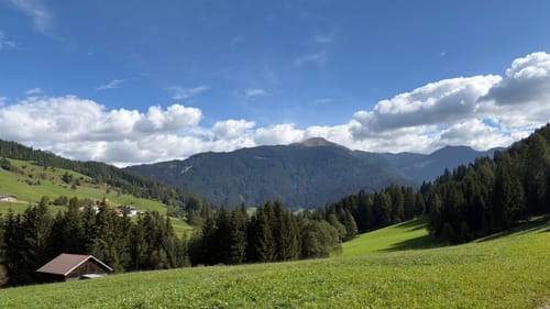 Trins: Wald- und Wiesenweg