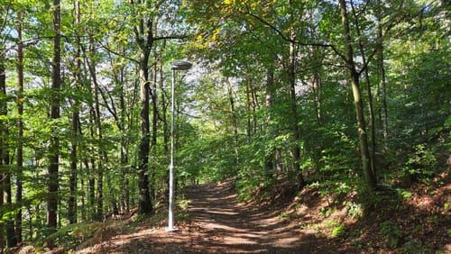 Schrammsteine Rundweg