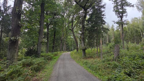 Schrammsteine Rundweg