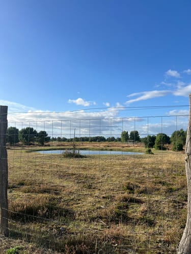 Schönower Heide: Wildwanderweg