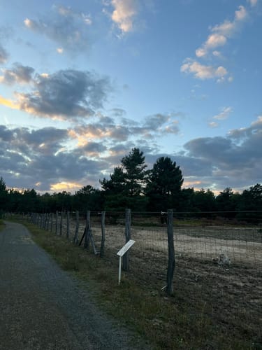 Schönower Heide: Wildwanderweg