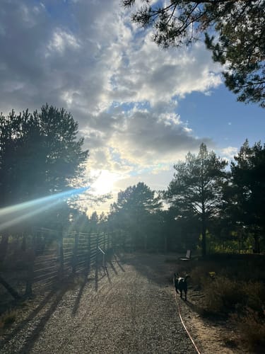 Schönower Heide: Wildwanderweg
