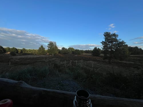 Schönower Heide: Wildwanderweg