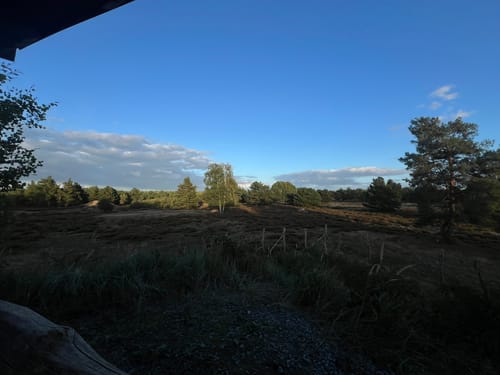 Schönower Heide: Wildwanderweg