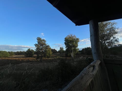 Schönower Heide: Wildwanderweg
