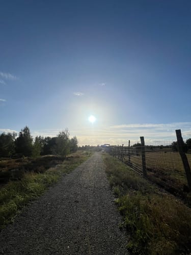 Schönower Heide: Wildwanderweg