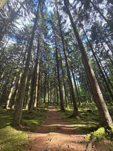 Kirschweiler Festung (Premiumwanderweg)