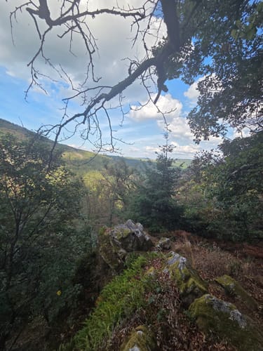 Kirschweiler Festung (Premiumwanderweg)