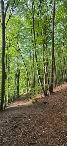 Naturlehrpfad Durchbruchstal der Warnow und der Mildenitz
