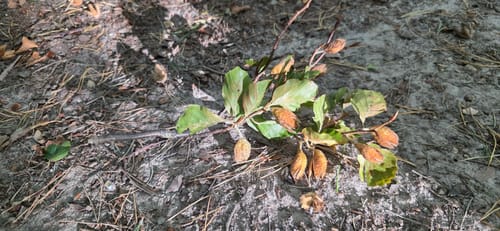 Naturlehrpfad Durchbruchstal der Warnow und der Mildenitz