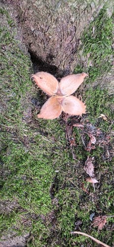 Naturlehrpfad Durchbruchstal der Warnow und der Mildenitz