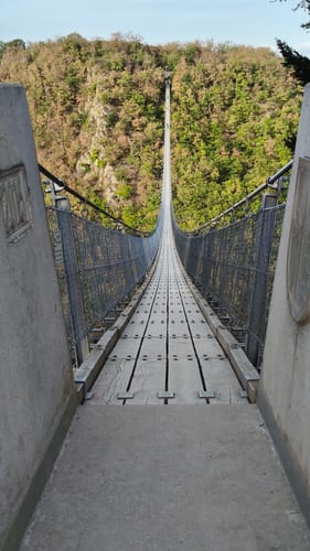Geierlayschleife (Premiumwanderweg)
