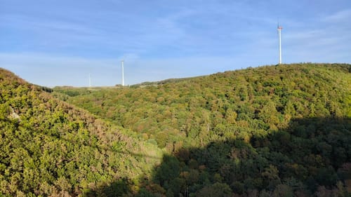Geierlayschleife (Premiumwanderweg)