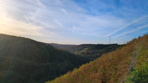 Geierlayschleife (Premiumwanderweg)