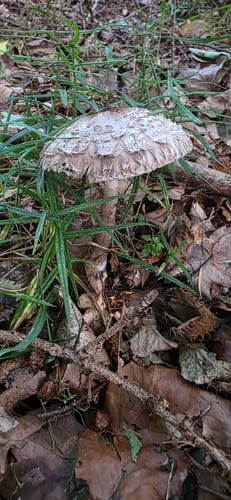 Naturlehrpfad Durchbruchstal der Warnow und der Mildenitz