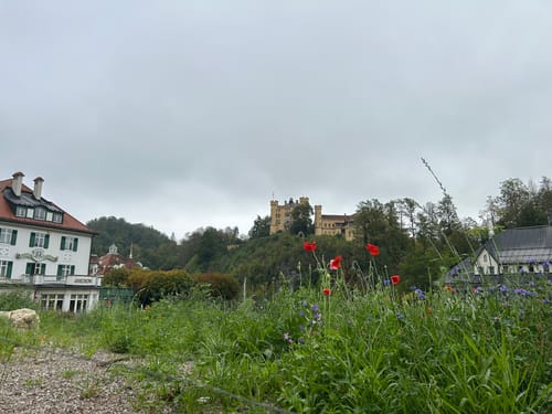 Schloss Neuschwanstein