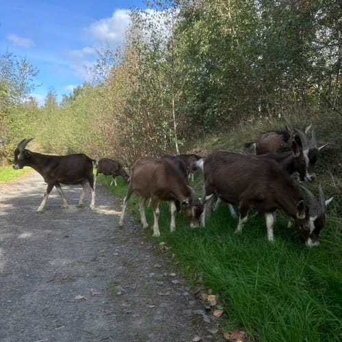Rundwanderweg Piesberg