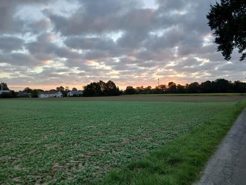 A7 Hille-Rothenuffeln