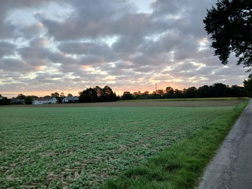 A7 Hille-Rothenuffeln
