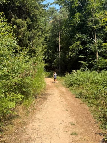 Römerpfad (Premiumwanderweg)