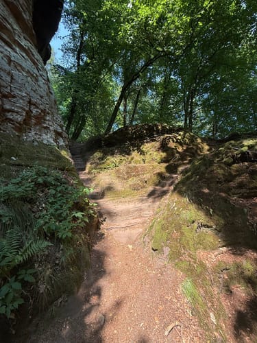 Römerpfad (Premiumwanderweg)