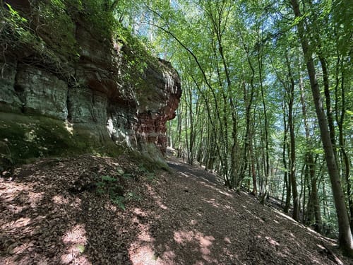 Römerpfad (Premiumwanderweg)