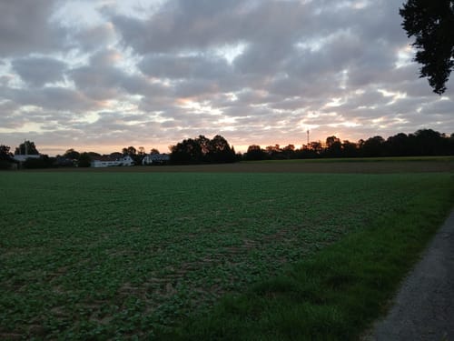 A7 Hille-Rothenuffeln
