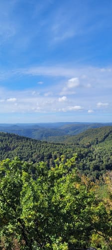 Wanderung zu den Burgruinen Neidenfels, Drachenfels und Lichtenstein