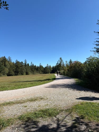 Rund um den Weißensee