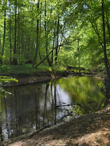 Entlang der Bille (Kurze Runde)