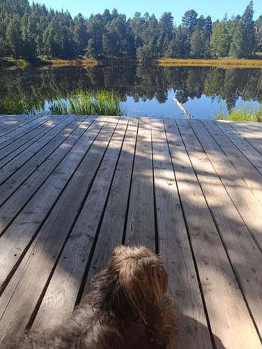 Kleiner Blindensee Rundwanderweg