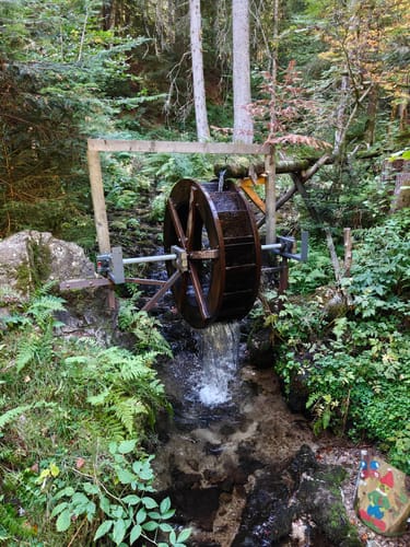 Zauberwald-Pfad - Bernau im Schwarzwald