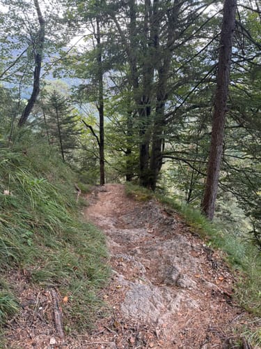 Durch die Almbachklamm nach Ettenberg