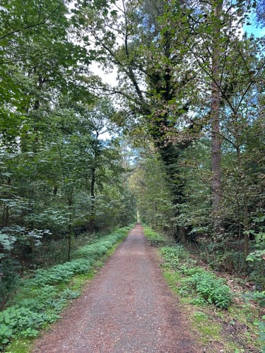 Rotbach Rundweg A6