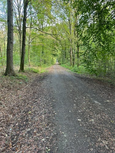 Rotbach Rundweg A6