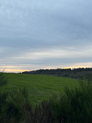 Wildnistrail Etappe 2: Einruhr - Gemünd