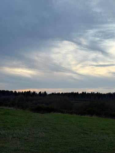 Wildnistrail Etappe 2: Einruhr - Gemünd