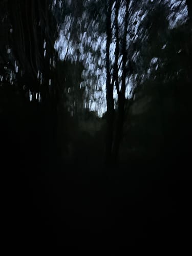 Wildnistrail Etappe 2: Einruhr - Gemünd