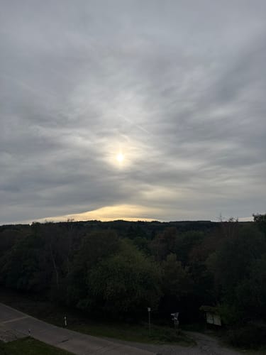 Wildnistrail Etappe 2: Einruhr - Gemünd