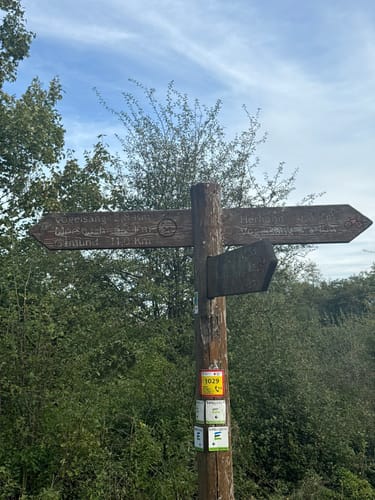 Wildnistrail Etappe 2: Einruhr - Gemünd