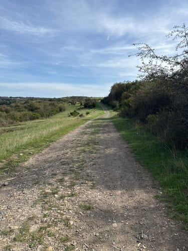 Wildnistrail Etappe 2: Einruhr - Gemünd