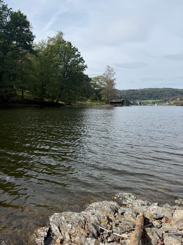 Wildnistrail Etappe 2: Einruhr - Gemünd