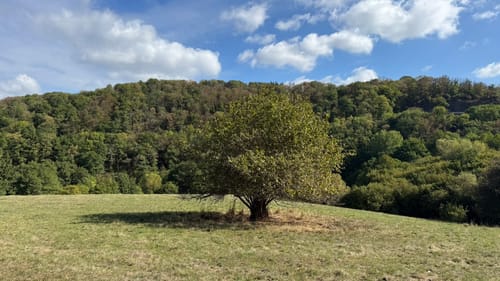 Tiefenbach-Tour bei Moselhunsrück nahe Longkamp